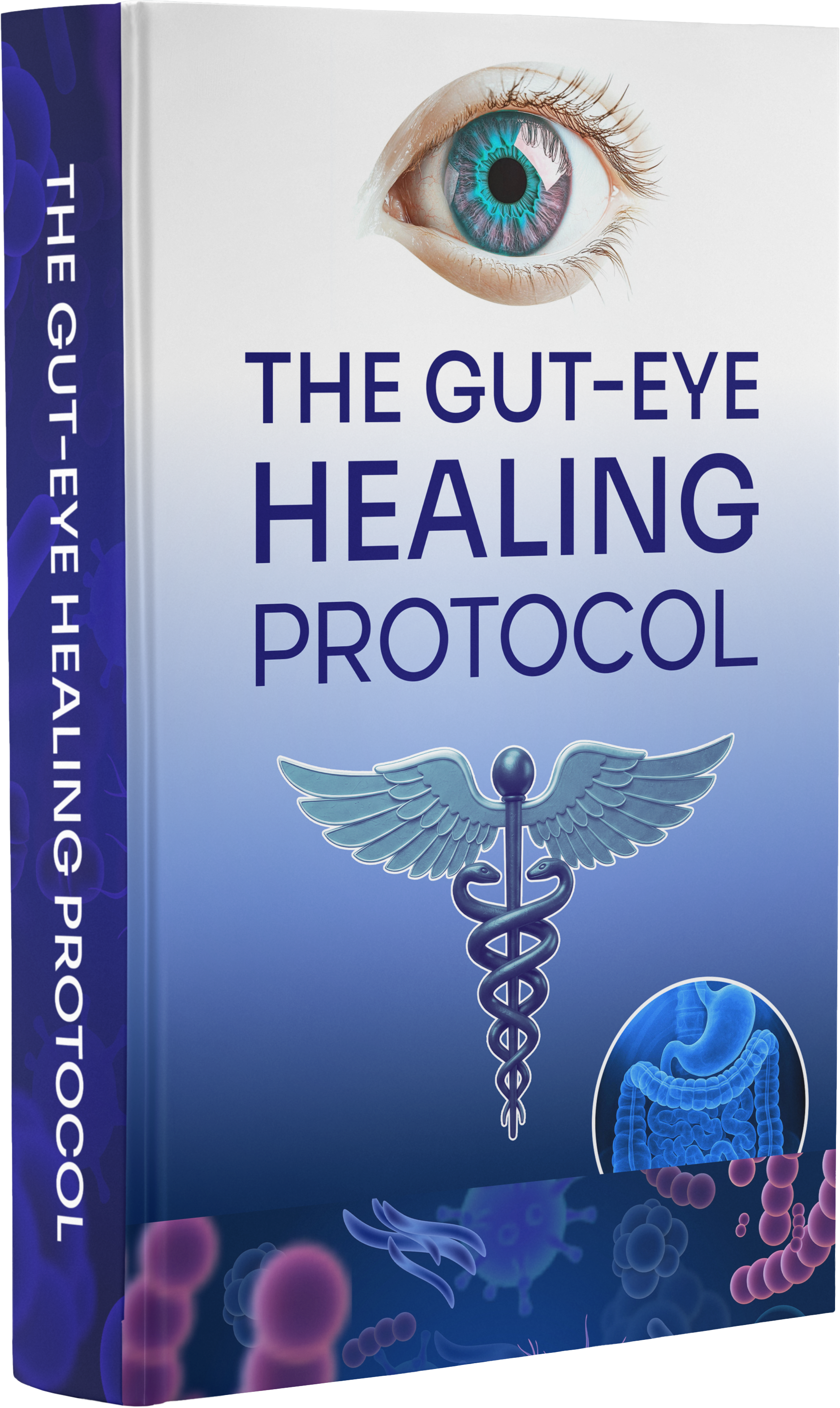 The Gut-Eye Healing Protocol